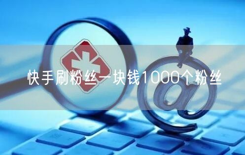 快手刷粉丝一块钱1000个粉丝
