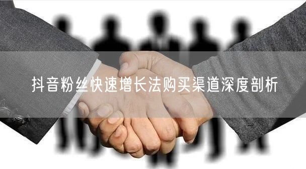抖音粉丝快速增长法购买渠道深度剖析