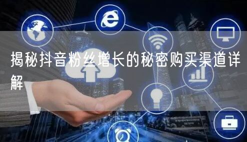 揭秘抖音粉丝增长的秘密购买渠道详解