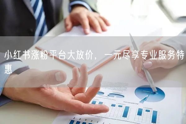 小红书涨粉平台大放价，一元尽享专业服务特惠