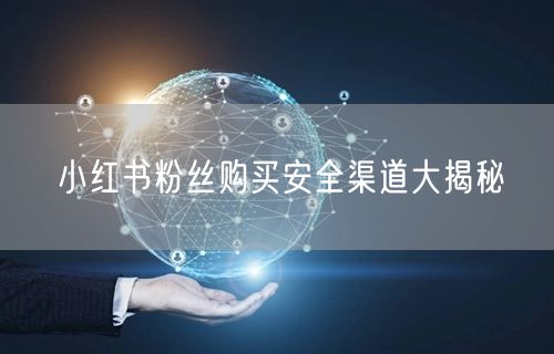 小红书粉丝购买安全渠道大揭秘