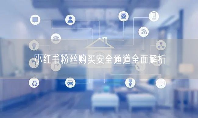 小红书粉丝购买安全通道全面解析