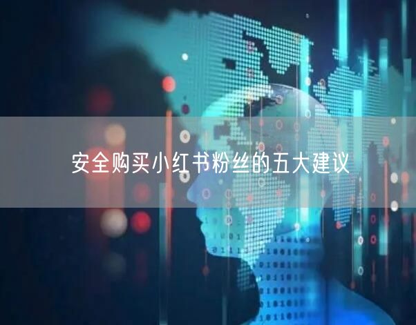 安全购买小红书粉丝的五大建议