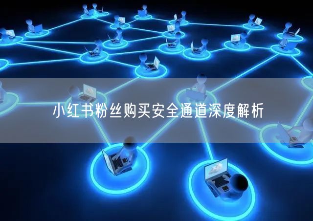 小红书粉丝购买安全通道深度解析