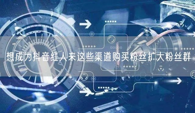 想成为抖音红人来这些渠道购买粉丝扩大粉丝群