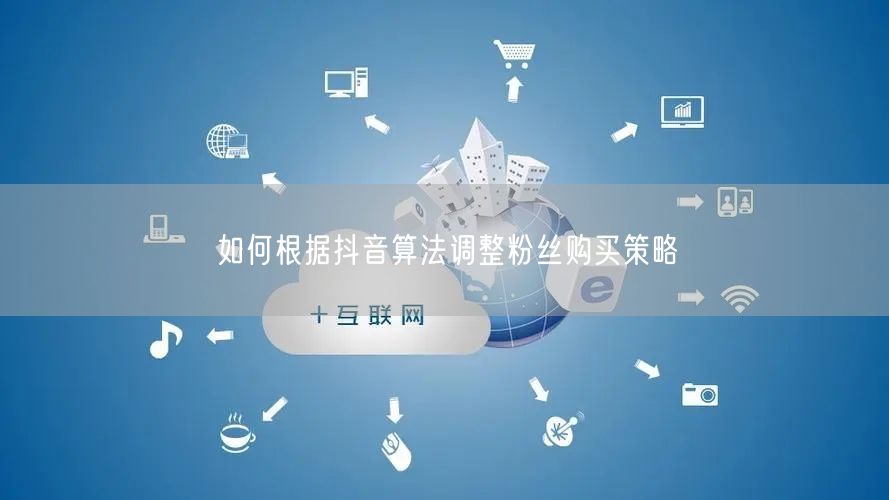 如何根据抖音算法调整粉丝购买策略