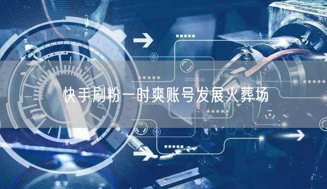 快手刷粉一时爽账号发展火葬场